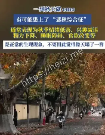 悲秋综合征