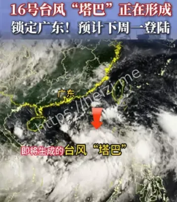 台风塔巴