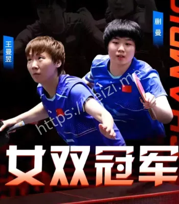 莎曼组合