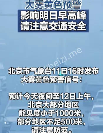 大雾黄色预警
