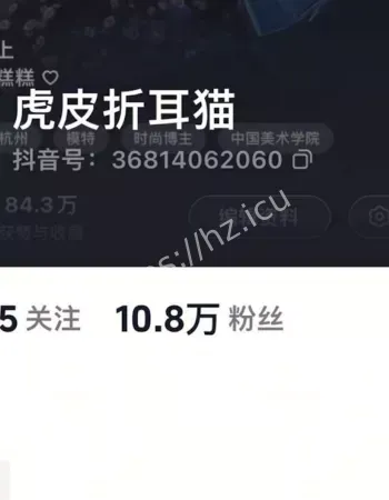 虎皮折耳猫